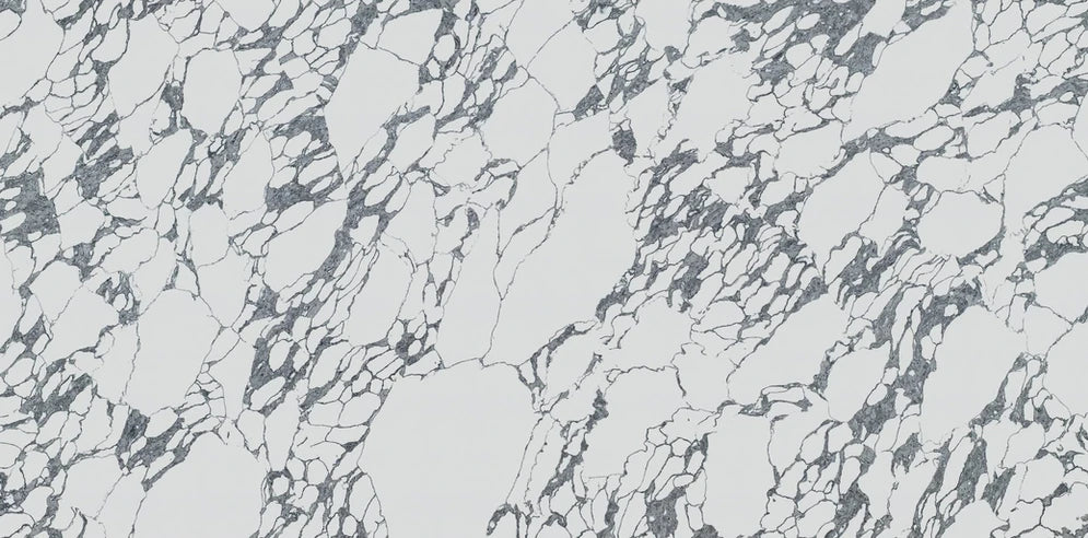 Arabescatto Grigio Quartz