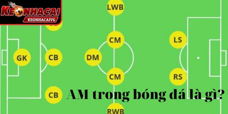 Định nghĩa AM trong bóng đá là gì?