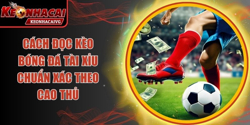 Cách Đọc Kèo Bóng Đá Tài Xỉu