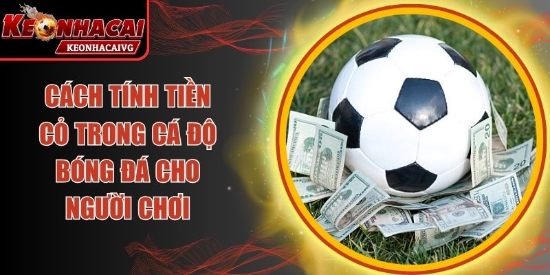 Cách Tính Tiền Cỏ Trong Cá Độ Bóng Đá